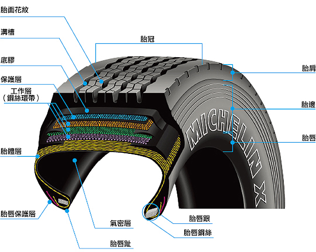 轮胎结构图解图片