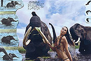 非洲野性美！2009年倍耐力月曆「生命的雕塑」發表
