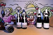 30年來最佳年份，2009法國頂級薄酒萊即將上市