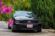 AVIS Taiwan放暑價，全車款均享租車優惠