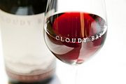 Cloudy Bay Pinot Noir 2011年份登場