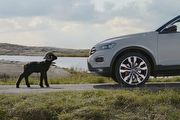 [勁廣告] 與眾不同的羊，Volkswagen T-Roc國際版廣告