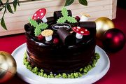 滿滿節慶感 開始期待聖誕節！Häagen-Dazs推出奢華巧克力系列